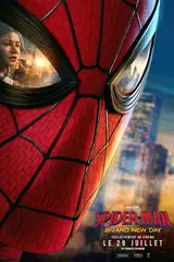 Affiche : Spider-Man : Brand New Day
